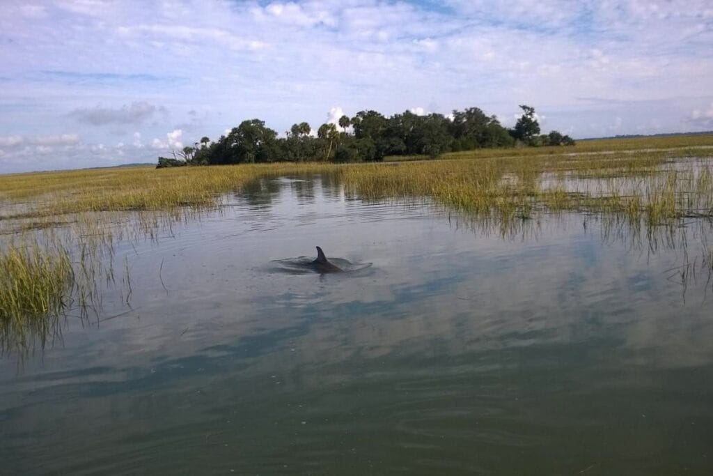 The Lost Nuclear Bomb of Tybee Island: A Forgotten Menace Beneath the Waves 18 img 1411 1