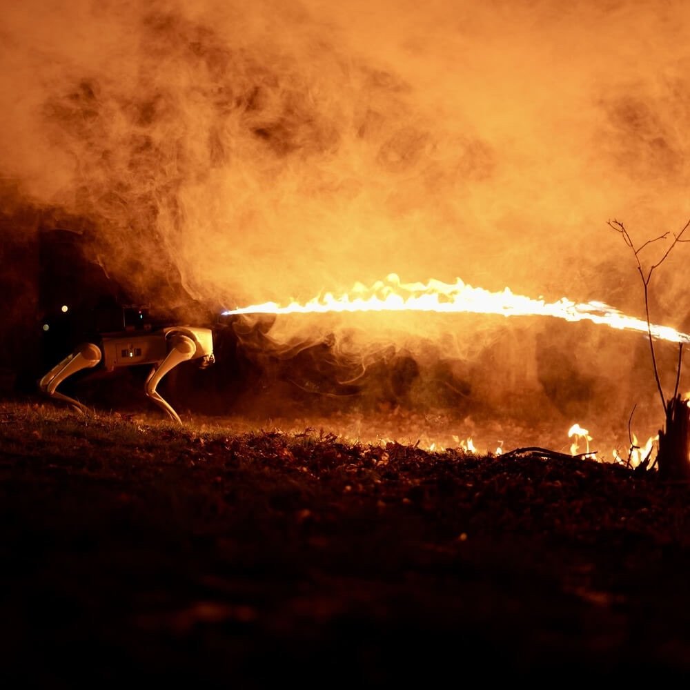 The Dawn of Robotic Firepower: Unpacking the Thermonator Flamethrower Robot Dog