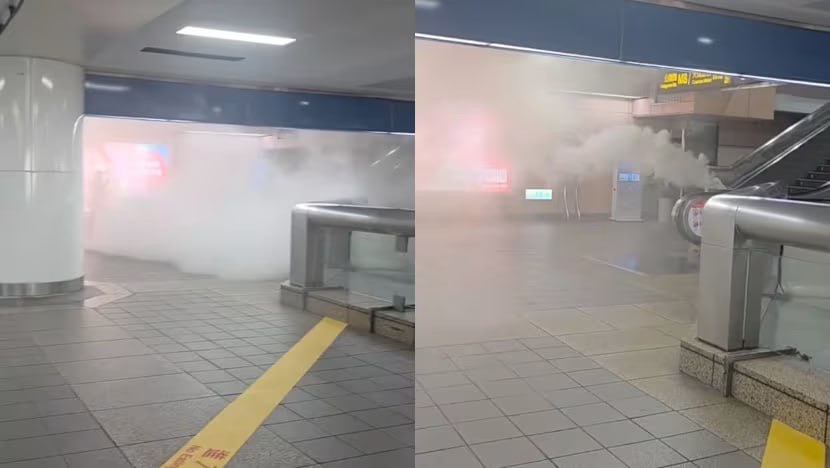 publer 1766176247138