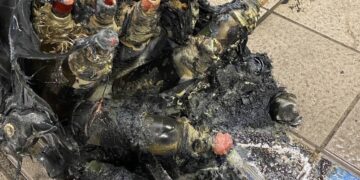 publer 1766176247455 1