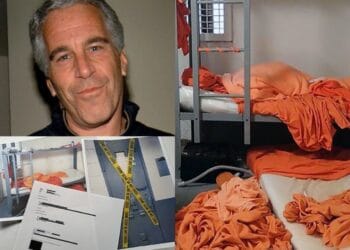 The "Epstein Truth" Files: 16 Anomalies That Defy the Suicide Narrative 17 img 6107 1